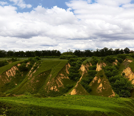 Балка Сажівка — рельєф, що ламає уявлення про степ