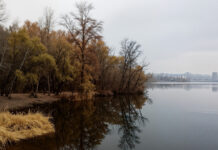 Становой остров: хозяйственное и природное богатство, скрытое под водой